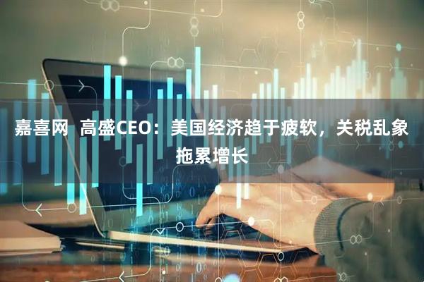 嘉喜网  高盛CEO：美国经济趋于疲软，关税乱象拖累增长