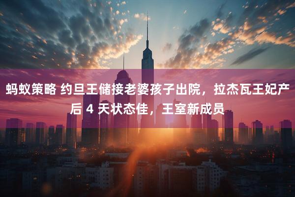蚂蚁策略 约旦王储接老婆孩子出院，拉杰瓦王妃产后 4 天状态佳，王室新成员