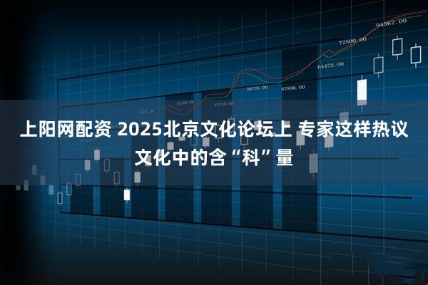 上阳网配资 2025北京文化论坛上 专家这样热议文化中的含“科”量