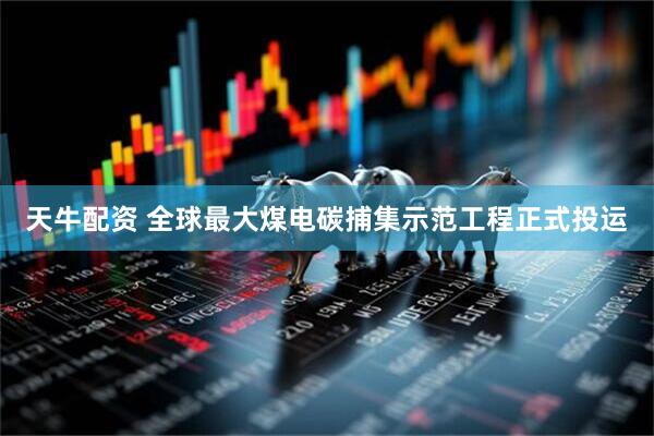 天牛配资 全球最大煤电碳捕集示范工程正式投运