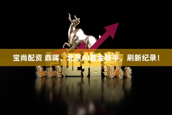 宝尚配资 鼎晖、北京AI基金联手,刷新纪录!